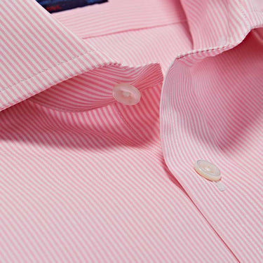 Pink Fine Bengal Stripe Cotton Shirt with Cut-away Collar Double