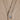 Ecru Cashmere Waistcoat