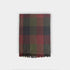 Green & Burgundy Large Check Silk & Cashmere Scarf