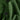 Green Cashmere Waistcoat