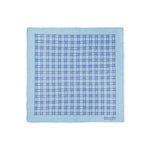 Light Blue With Blue Check Silk Handkerchief