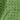 Light Green & Navy Medium Spot Silk Pocket Square