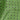 Light Green & Navy Medium Spot Silk Pocket Square