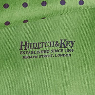 Light Green & Navy Spot Silk Tubular Scarf