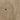 Light Tan Linen Trousers