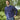 Navy Crew Neck Cashmere Sweater