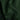 Plain Dark Green Wide Width Pure Cashmere Scarf