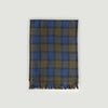 Tonal Sage Large Check Silk & Cashmere Scarf