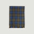 Tonal Sage Large Check Silk & Cashmere Scarf