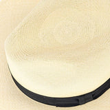 Montecristi Fedora Panama