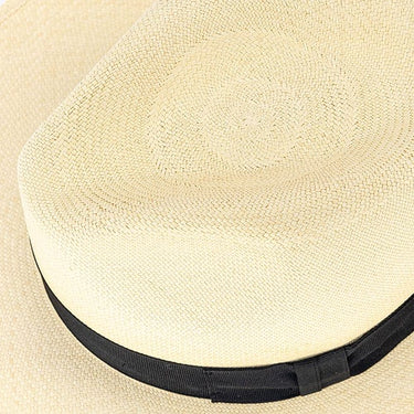 Montecristi Fedora Panama