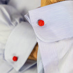Red Knot Links